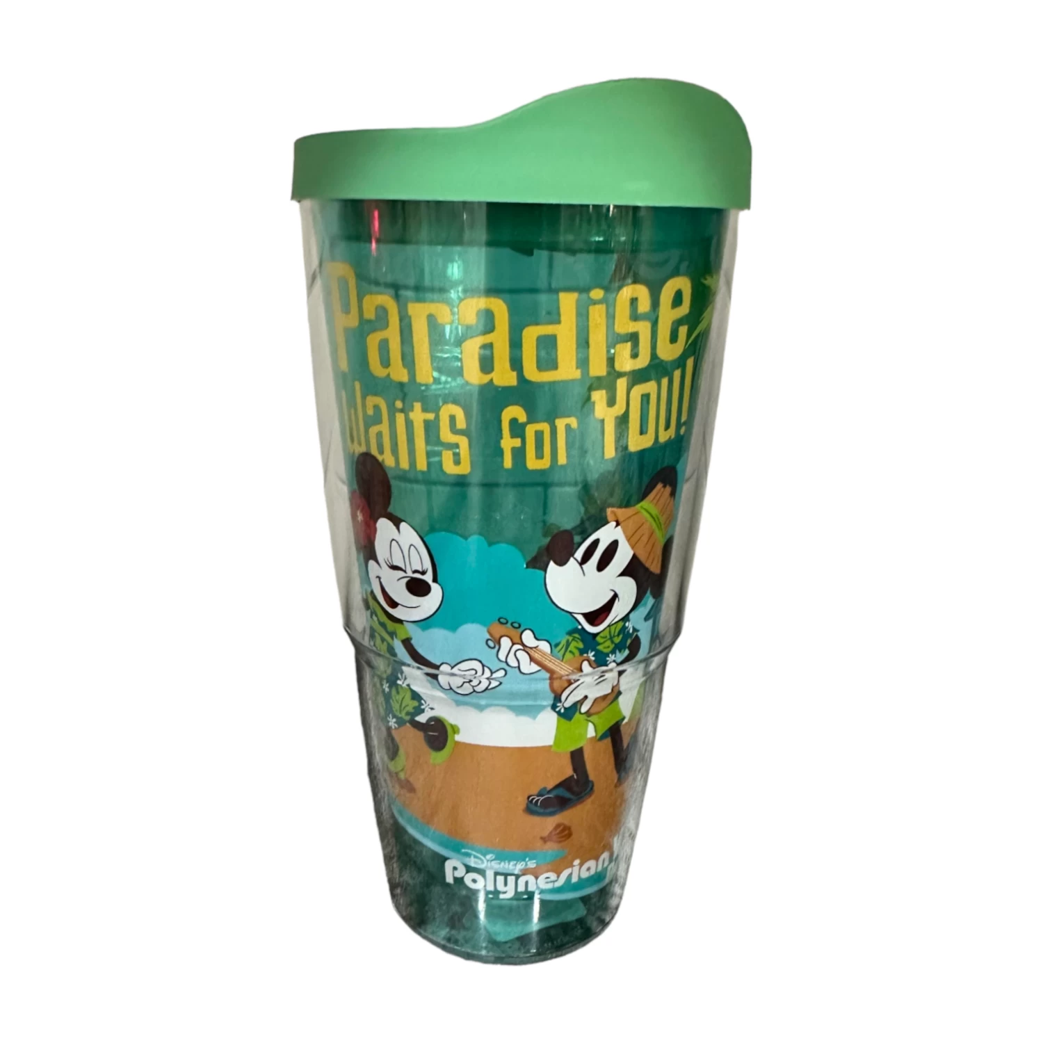 Disney Polynesian Resort Paradise Waits For You Tervis Cup Tumbler 3 Disney Polynesian Resort Paradise Waits For You Tervis Cup Tumbler