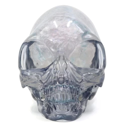 Disney Crystal Skull – Indiana Jones And The Kingdom Of The Crystal Skull -Disney Magic Shop image 4c8ba087 7674 4a36 8ea7 bdeee8d56721