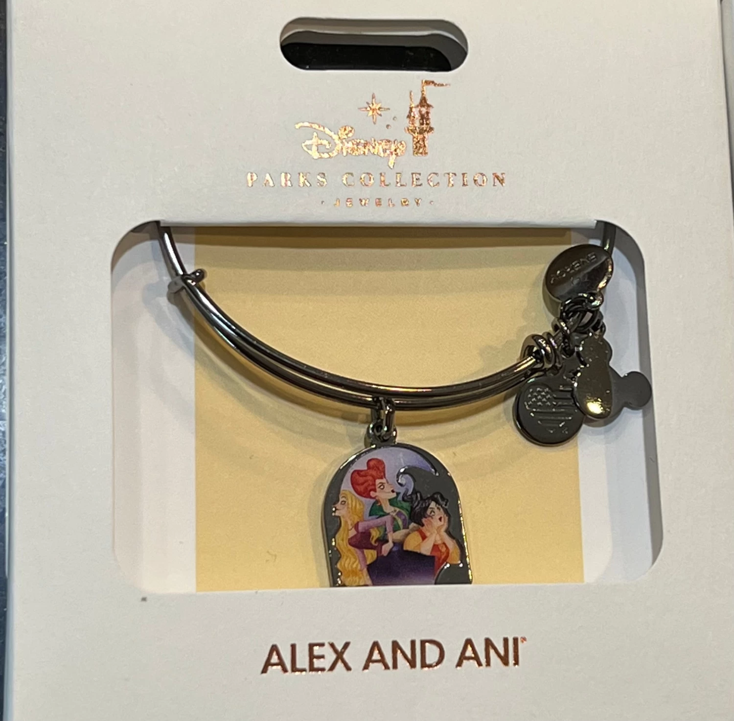 Disney Hocus Pocus Alex & Ani Bangle Bracelet 3 Disney Hocus Pocus Alex & Ani Bangle Bracelet